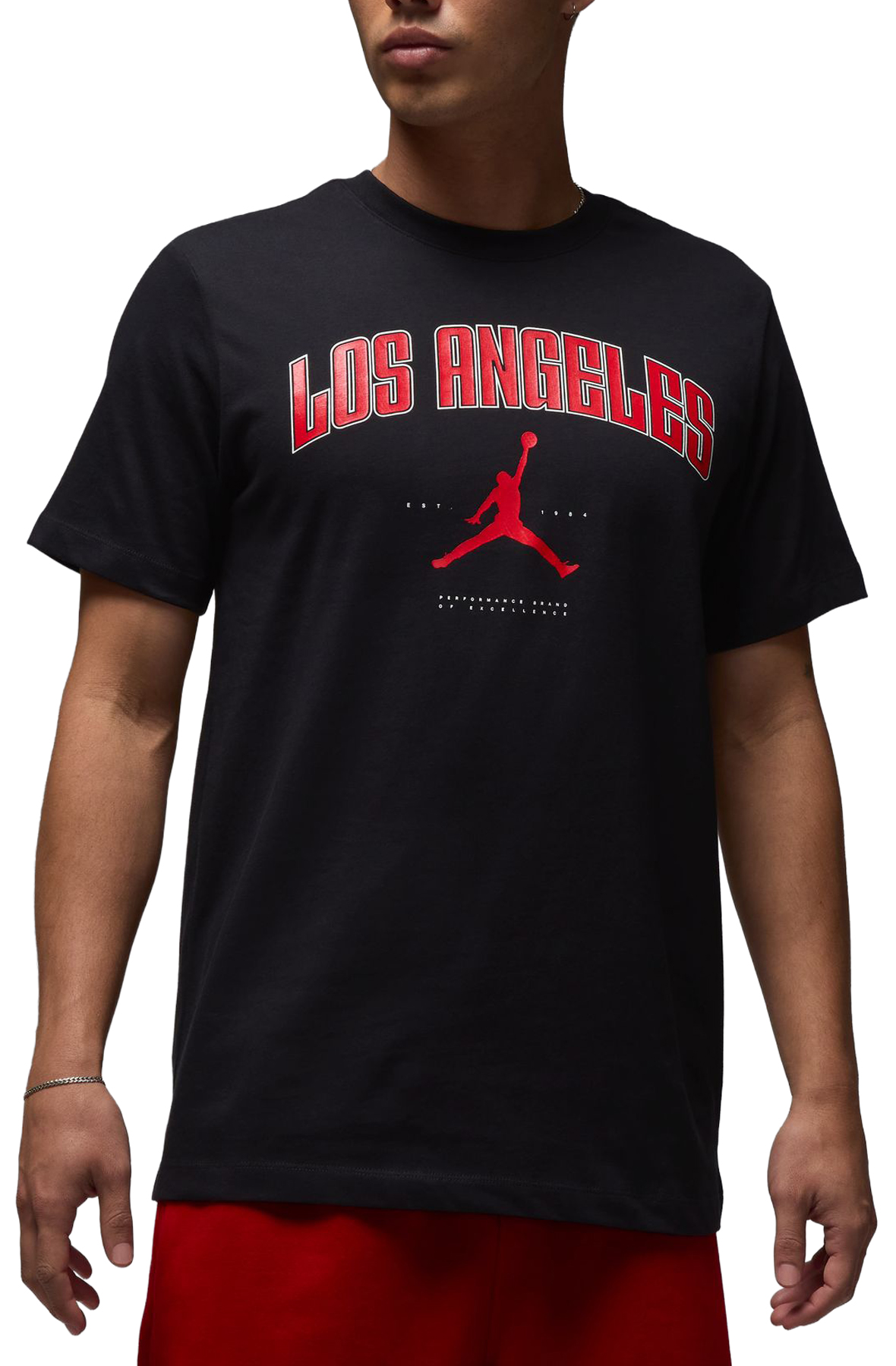 Tシャツ・カットソー Nike Jordan Mens Seoul T-Shirt HQ0390-010 Nike Air Jordan Men's T-Shirt Worldwide IX Tee (687819-010
