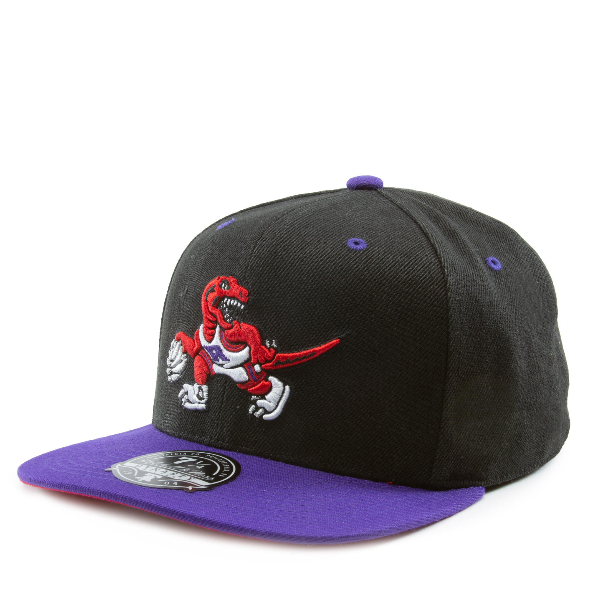 Mitchell & Ness Toronto Raptors Basic 2 Tone Dynasty Fitted Hat