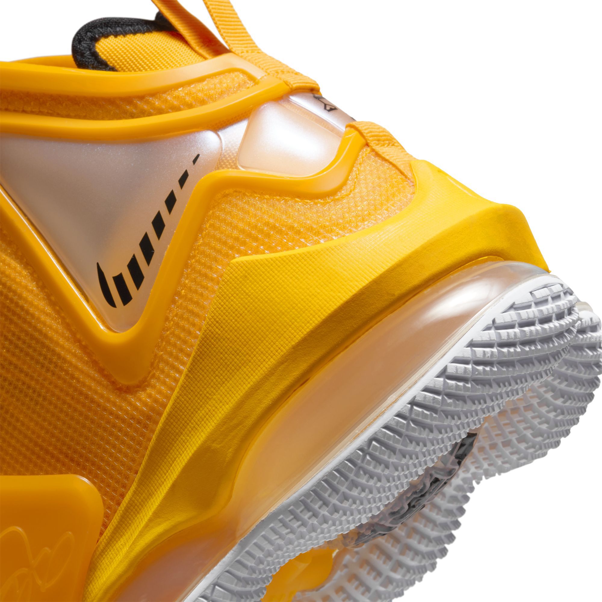 lebron 10 must be the honey
