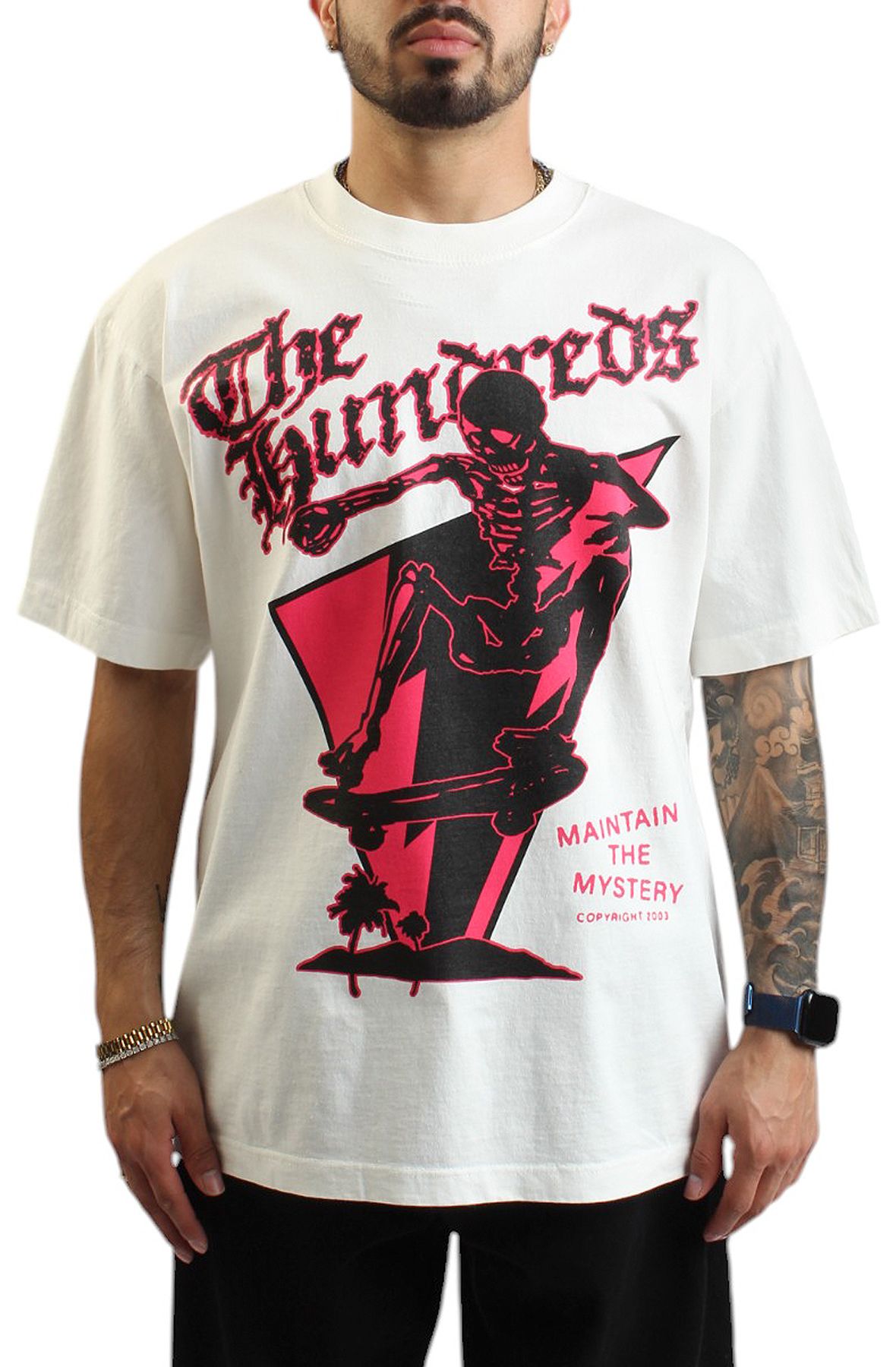 THE HUNDREDS Skull Mountain T-Shirt T25P101009BDB - Shiekh