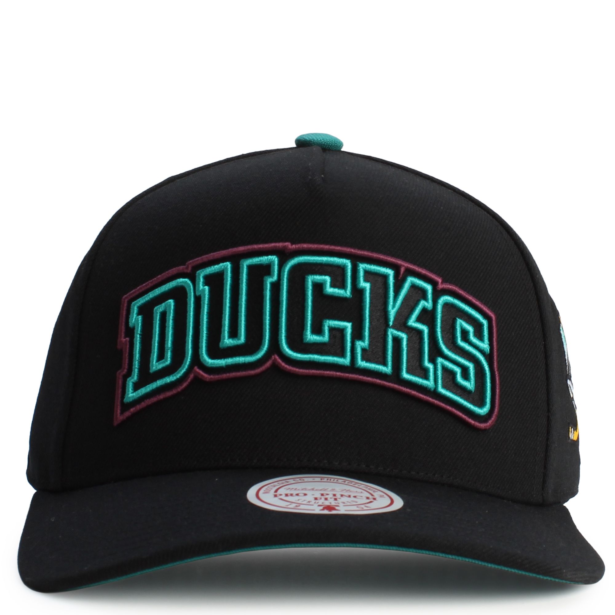 MITCHELL AND NESS NHL Anaheim Ducks Class Act Pro Vintage A-frame