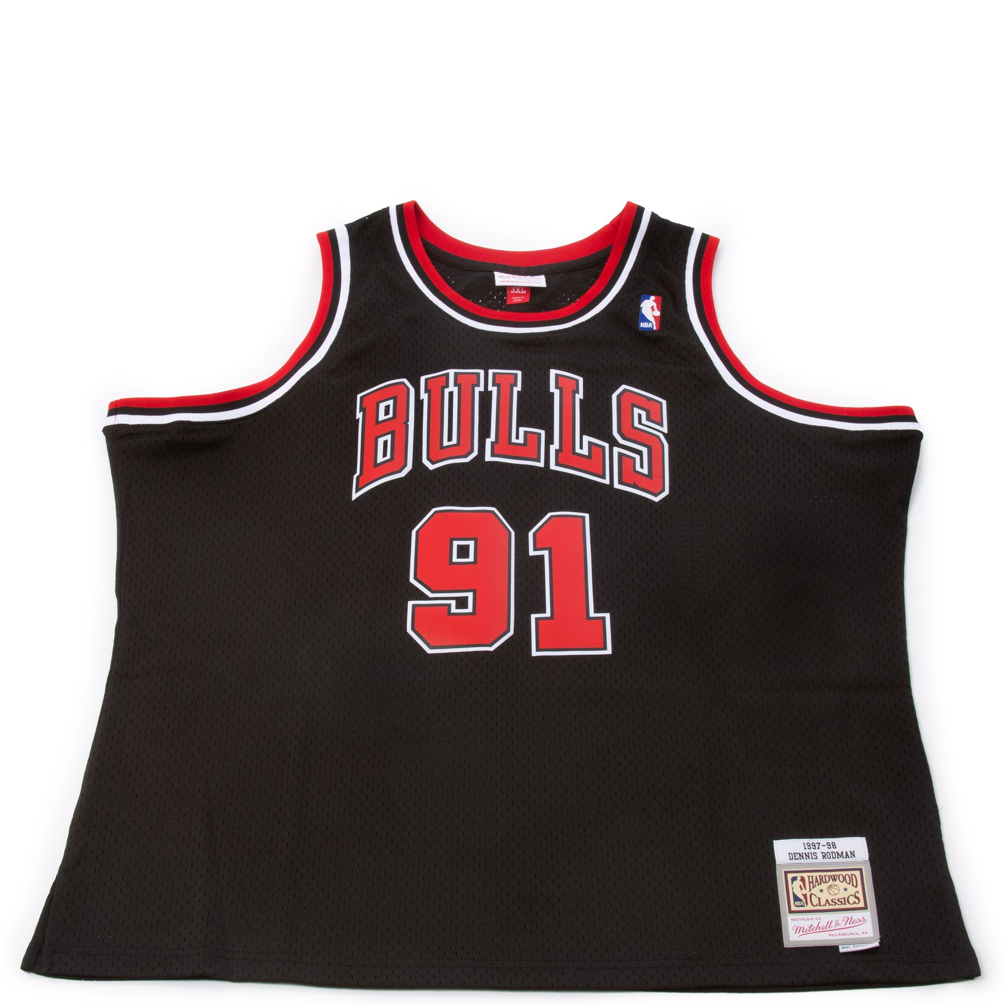 Vintage Chicago Bulls Dennis Rodman Champion Jersey
