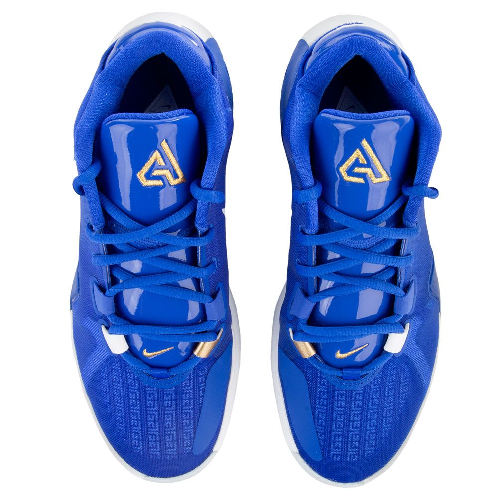 zoom freak 1 gold