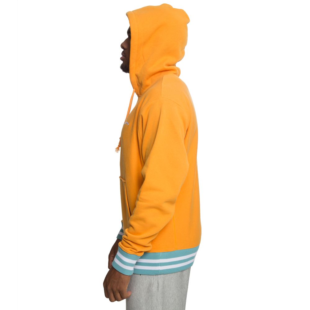 CHAMPION YARN DYE HOODIE S3290 550025 256 Shiekh