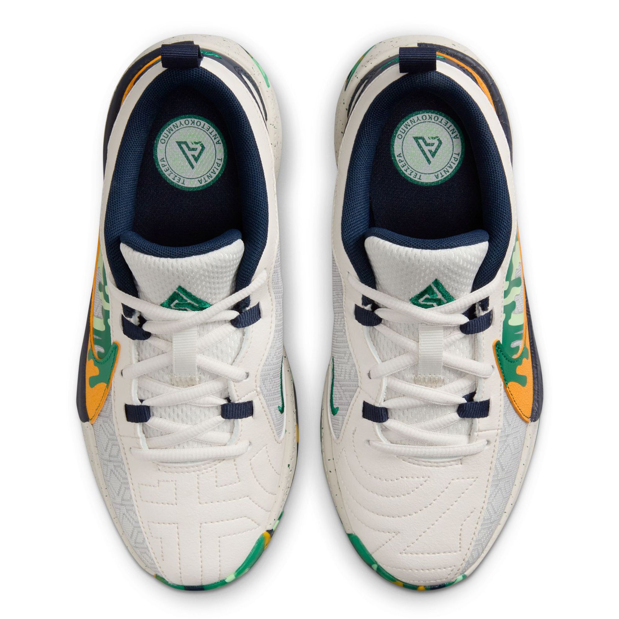 NIKE Grade School Giannis Freak 5 SE FN4975 001 - Shiekh