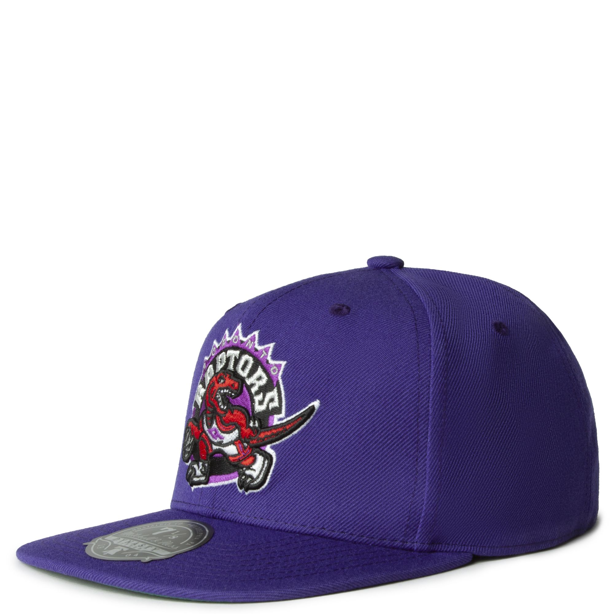 MITCHELL AND NESS Team Ground 2.0 Fitted HWC Toronto Raptors HHSF3259 ...
