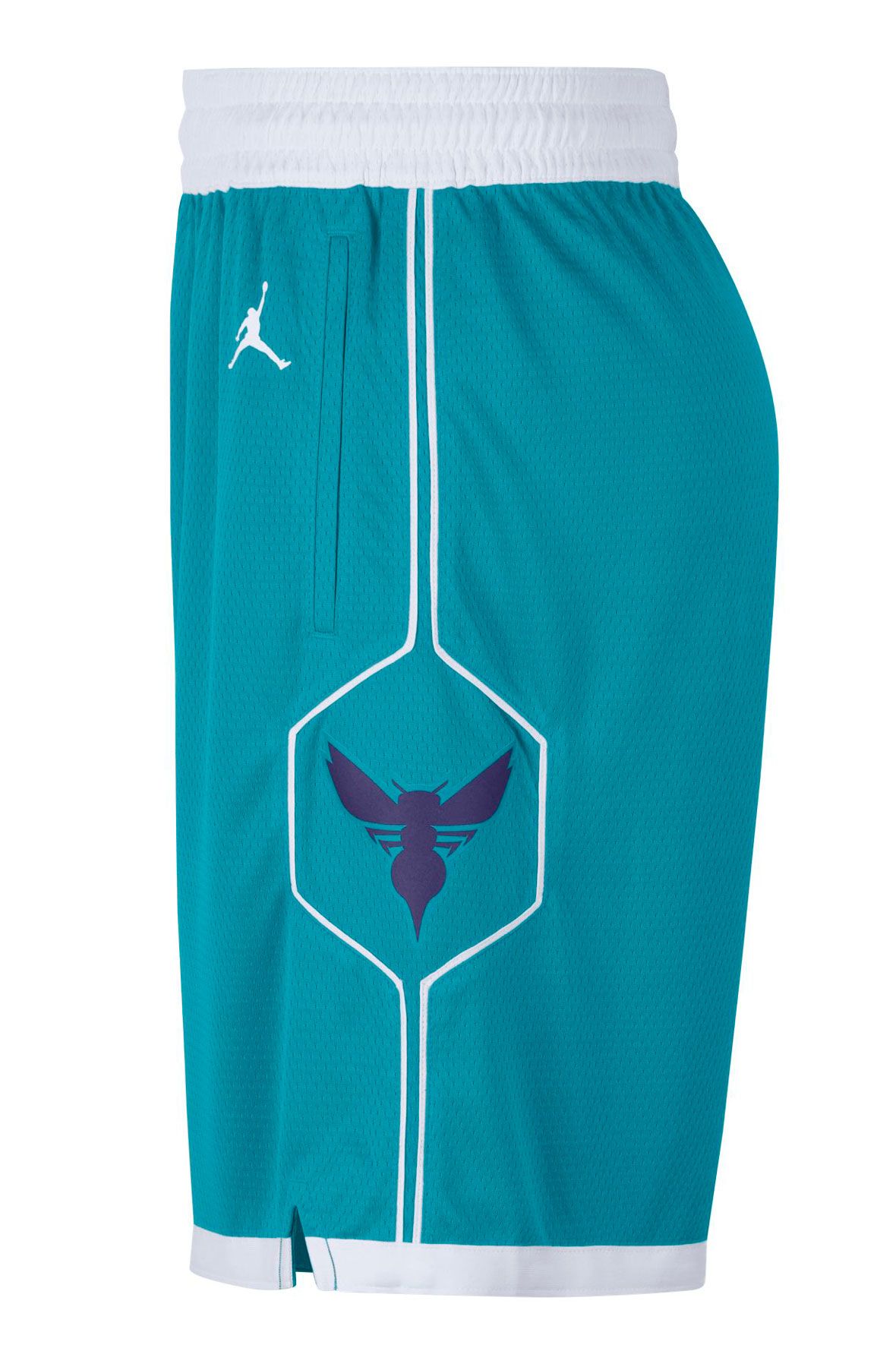 JORDAN Hornets Icon Edition 2020 NBA Swingman Shorts CN8083