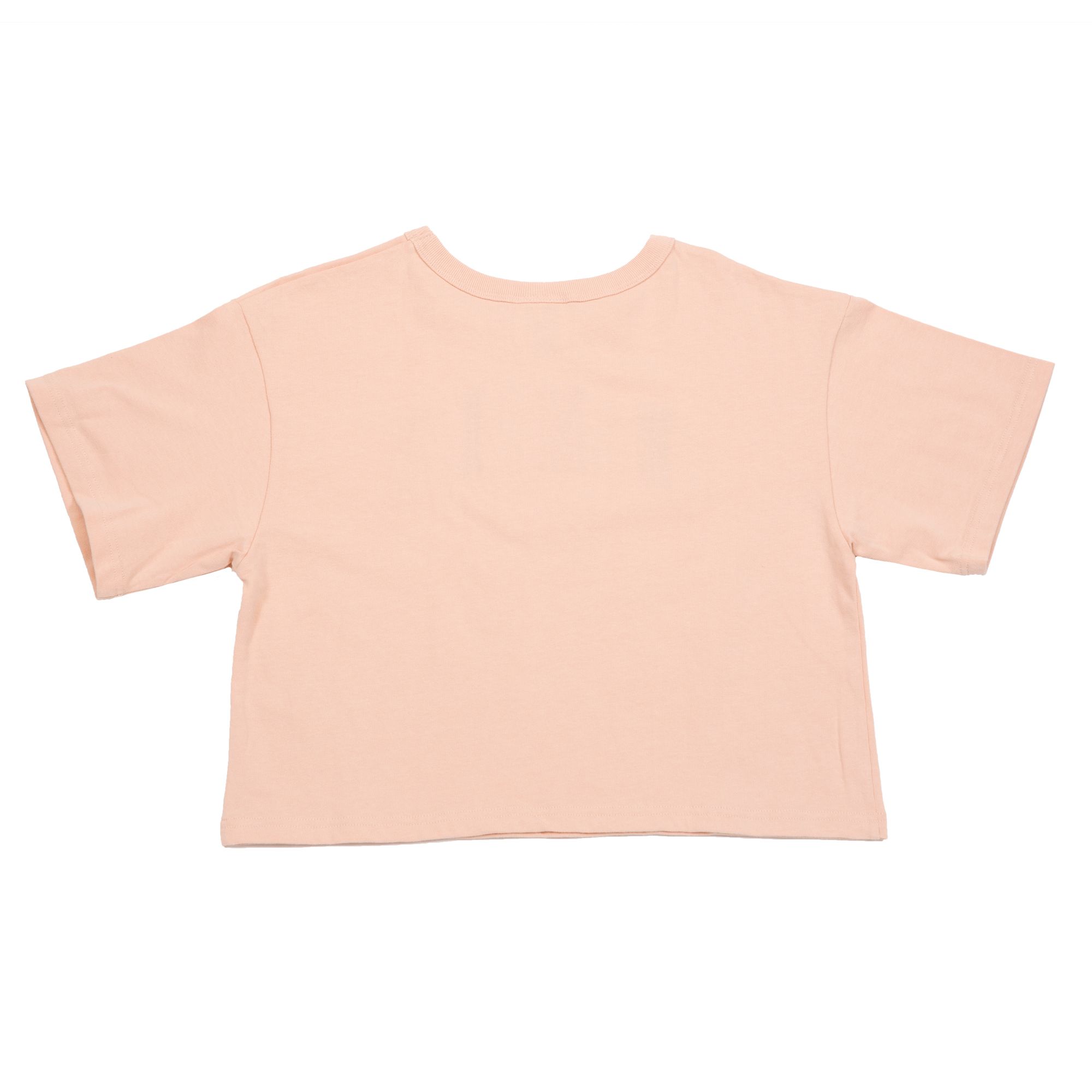 CHAMPION Heritage Cropped Tee WL956586124N5J - Shiekh