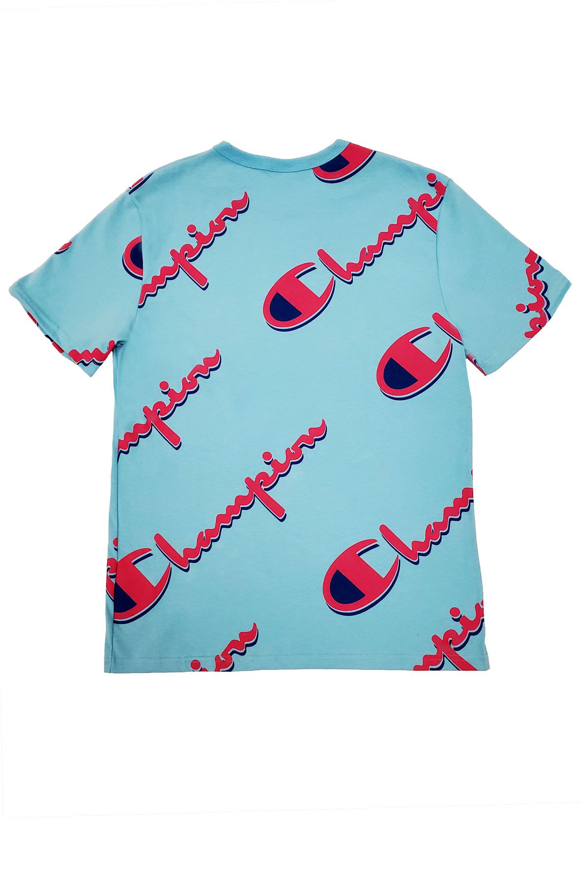 Vintage 90s Champion Tune Squad Taz Space Jam Jersey Kids L
