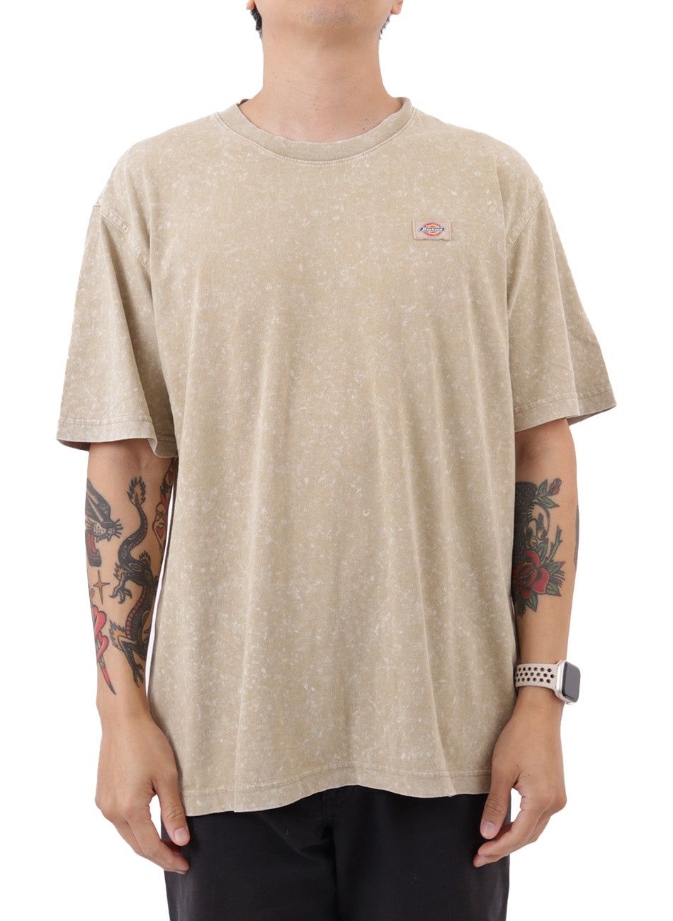 スタンドティー② DICKIES Newington T-Shirt P402661 - Shiekh