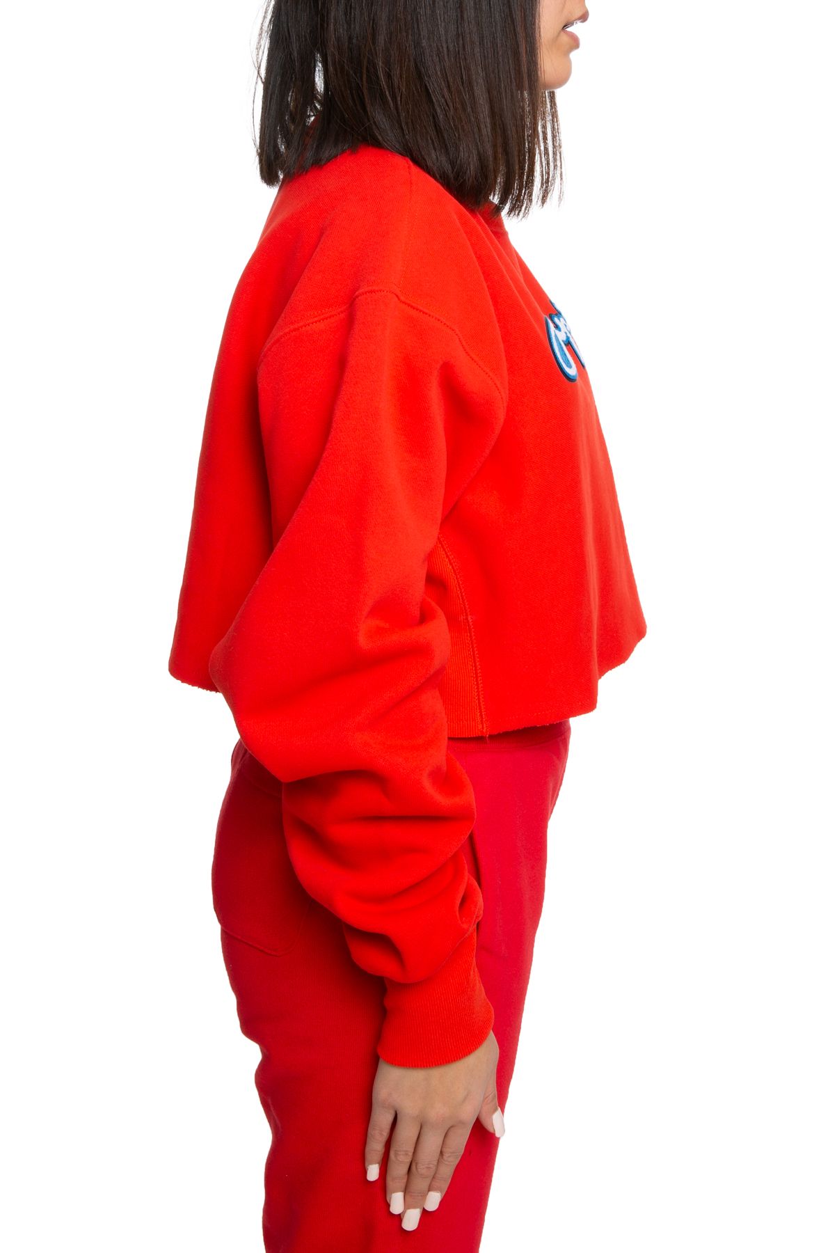 CHAMPION Reverse Weave Cropped Crew WL8275506157WP - Shiekh