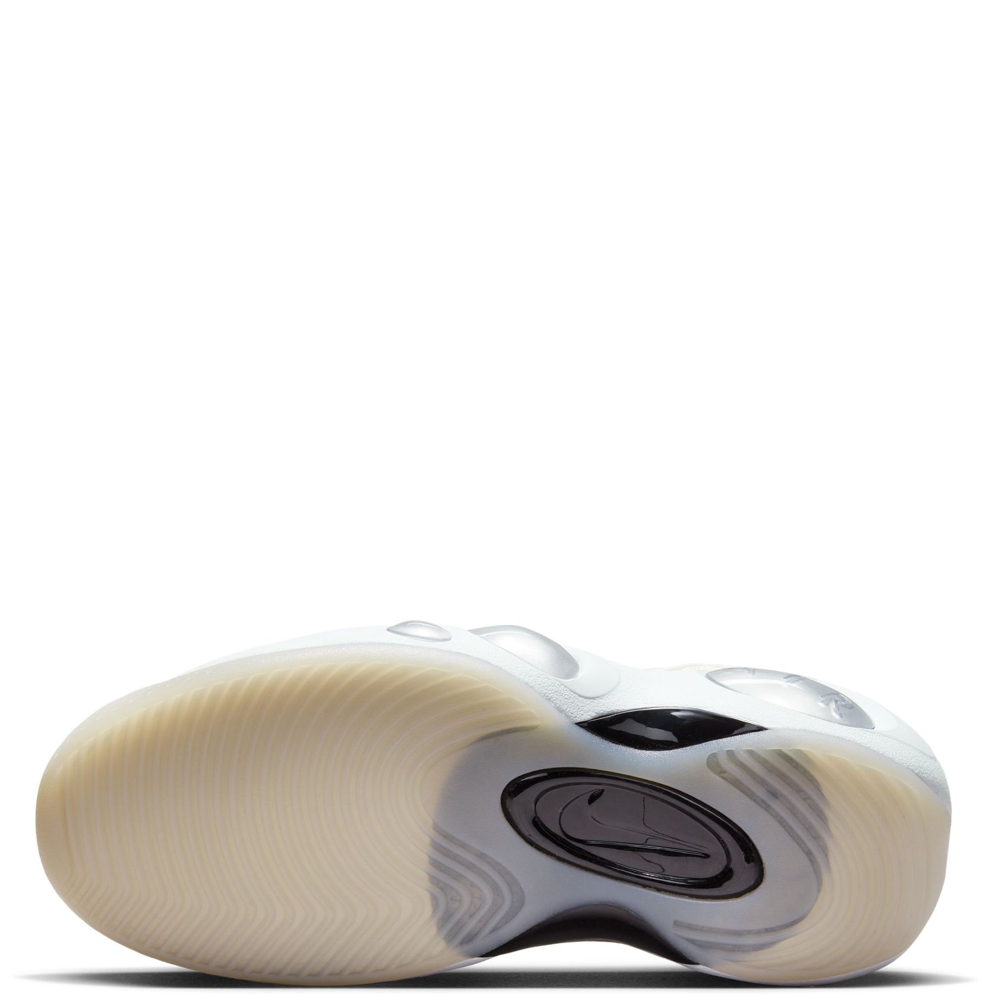 AIR ZOOM FLIGHT 95 DX5505 100