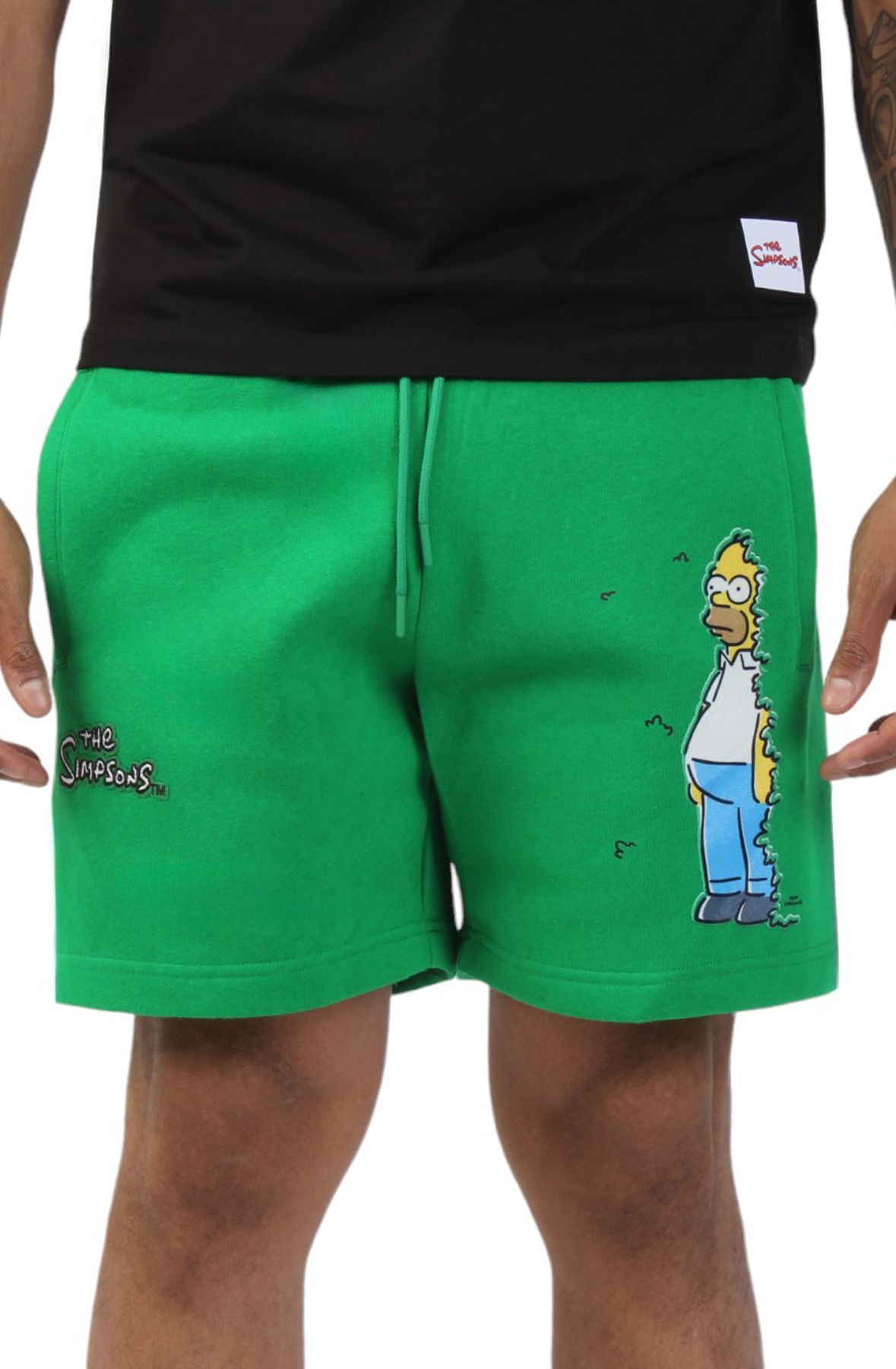 MAXIMA Homer In The Bushes Shorts FM30372-KGR - Shiekh