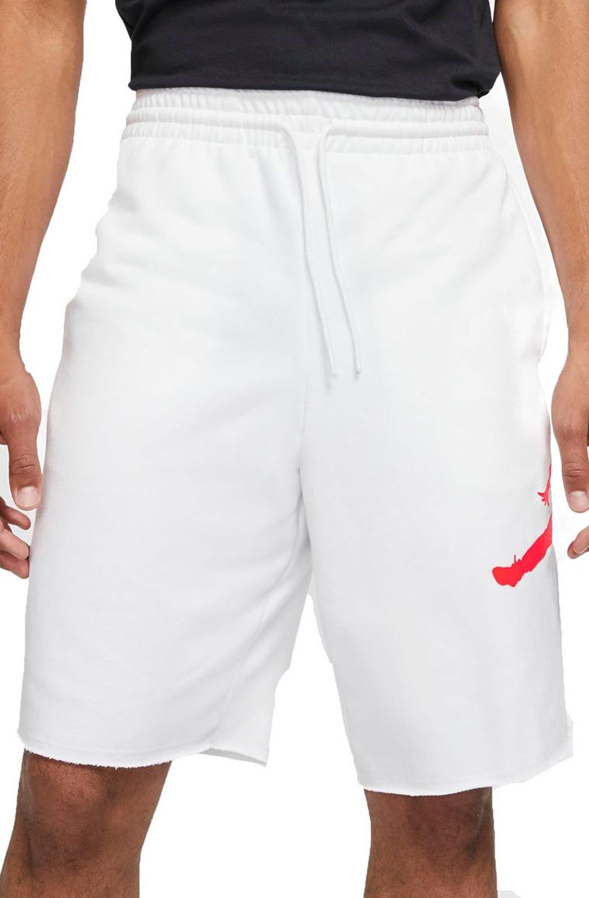 jordan fleece shorts