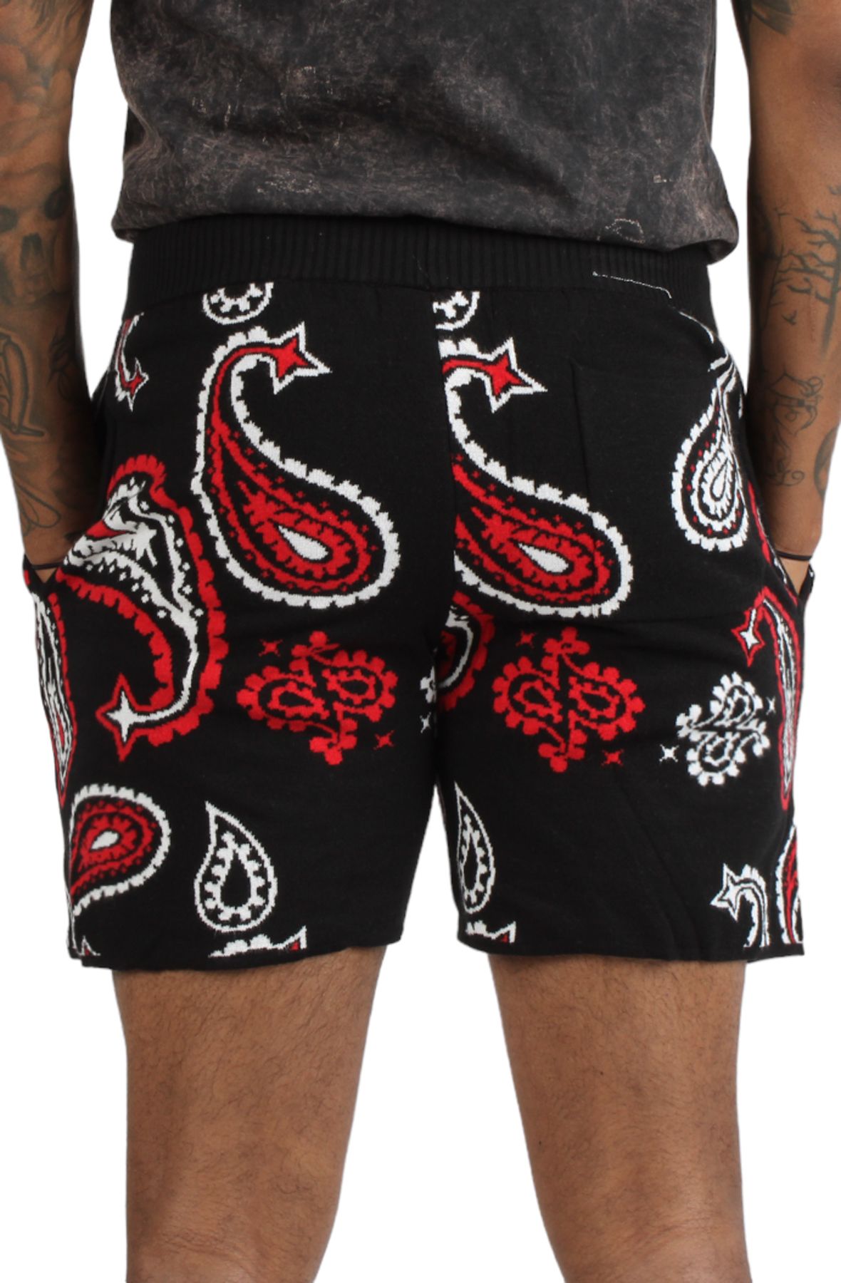 REBEL MINDS Paisley Knitted Shorts 131-984-BLK - Shiekh