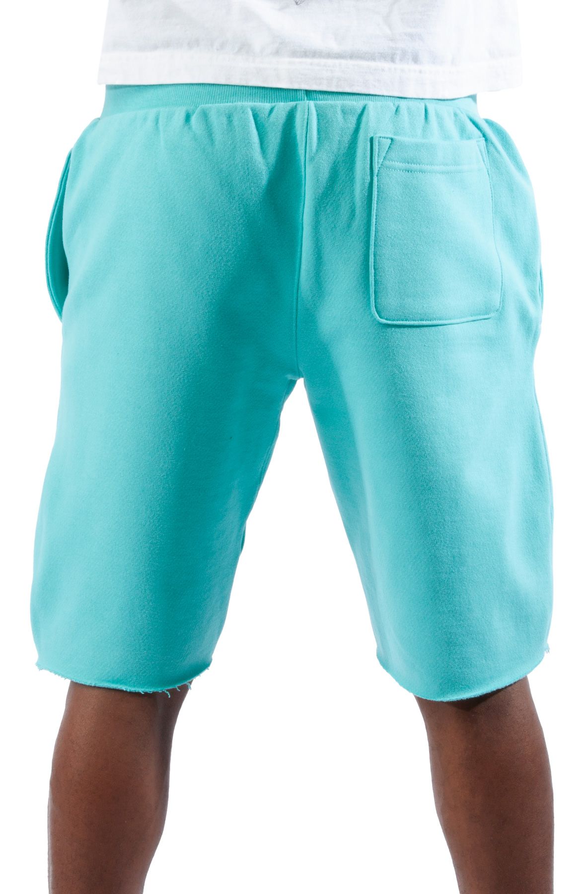 Champion reverse 2024 weave shorts teal