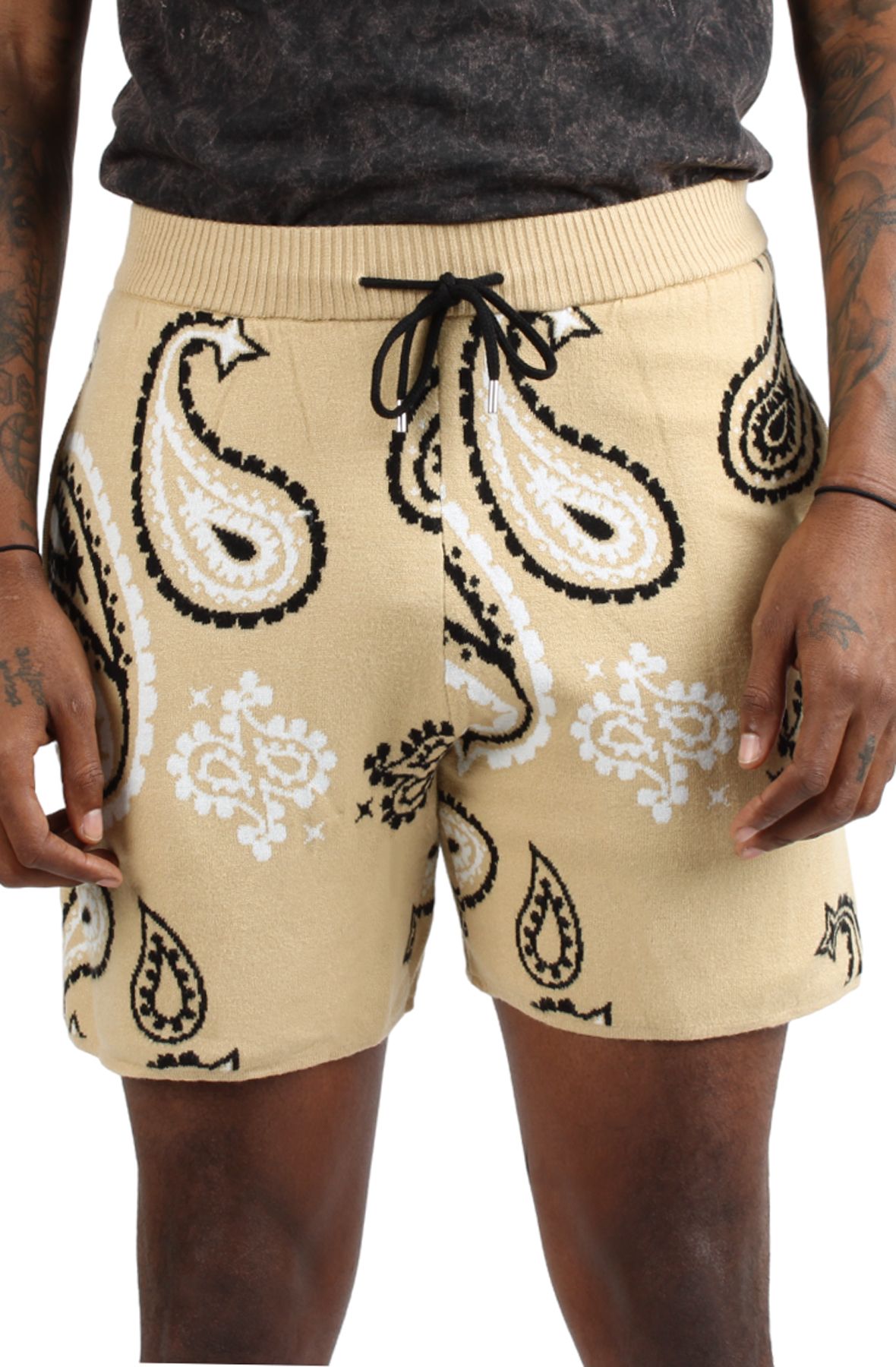 True Religion Men's Bandana Shorts, Porcini Paisley, Small at  Men's  Clothing store