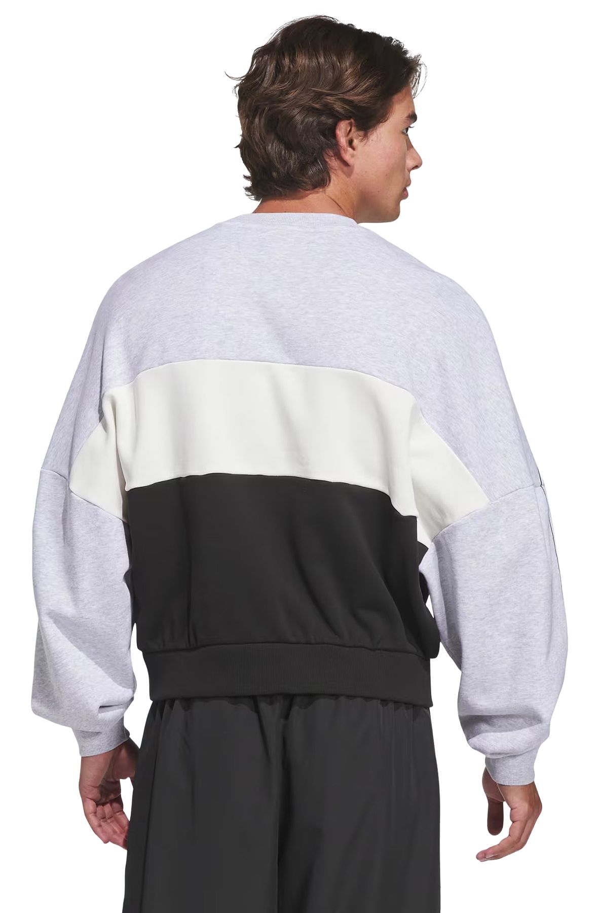 ADIDAS ORIGINALS VARSITY CREWNECK Sweatshirt LC7613 - Shiekh