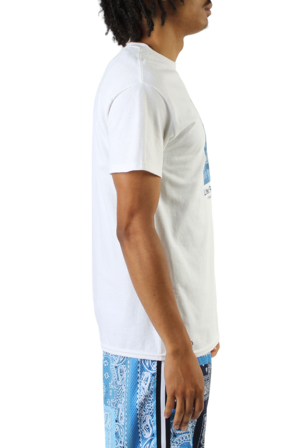 LRG Strictly Roots Tee L1Z9MSCXX-WH22 - Shiekh