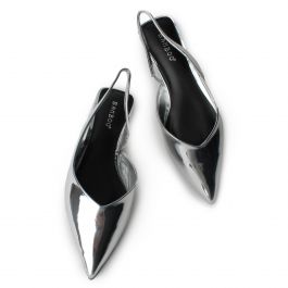 Assert-05 Pointy Toe Flats Silver Silver