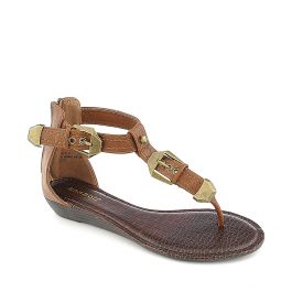 Latte-22 Chestnut Chestnut Chestnut