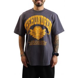 Alumnus T-Shirt grey grey