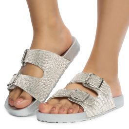 Luster-01 Double Buckle Sandals Silver Silver