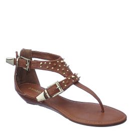 Dalinda-31 Chestnut Chestnut Chestnut