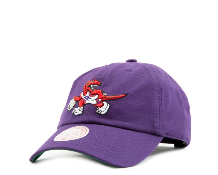 Toronto raptors dad hat hotsell