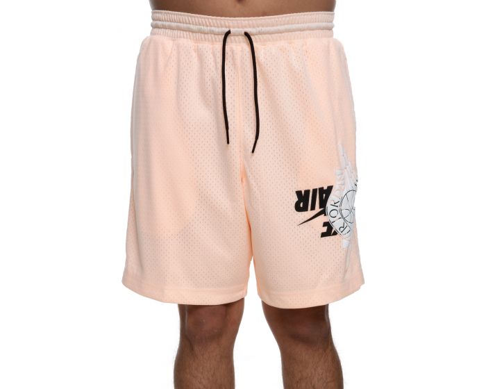 jumpman mesh shorts