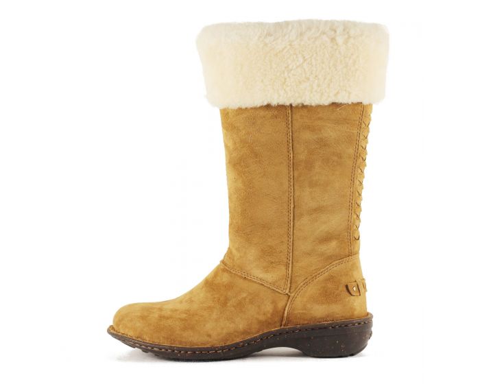 178d8415ef8166ad3449a4dd76a1b8