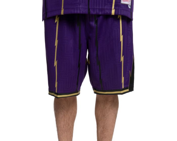 mitchell and ness raptors swingman shorts