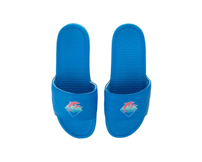 Pink 2024 dolphin slides