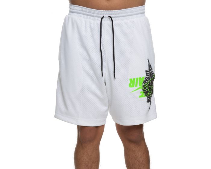 jumpman mesh shorts