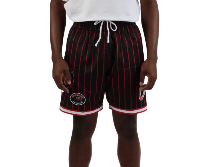 Buy NBA CHICAGO BULLS CITY COLLECTION MESH SHORTS for EUR 59.90 on  !