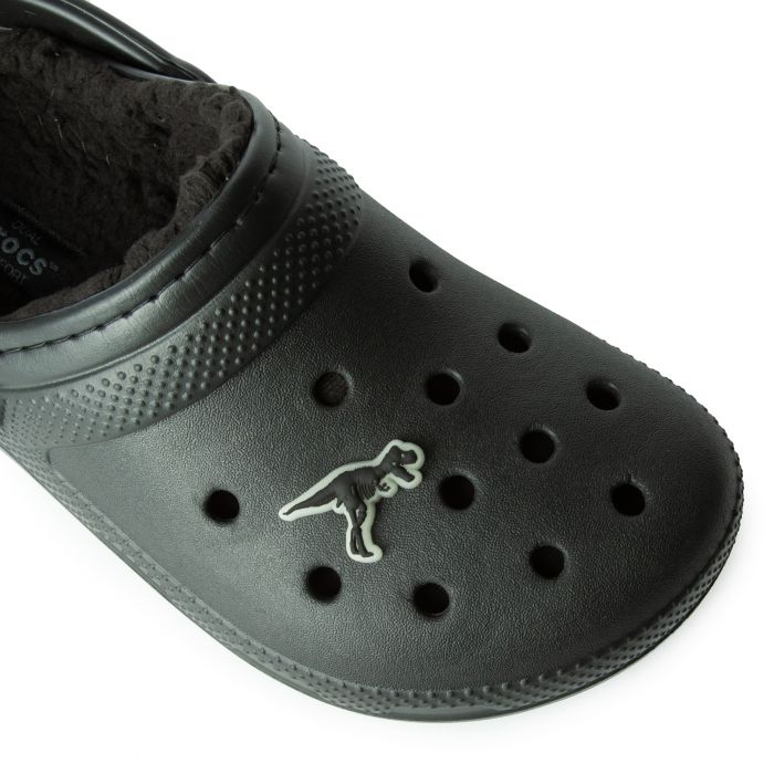 Glow In The Dark Dino 5 Pack Jibbitz Multi Color