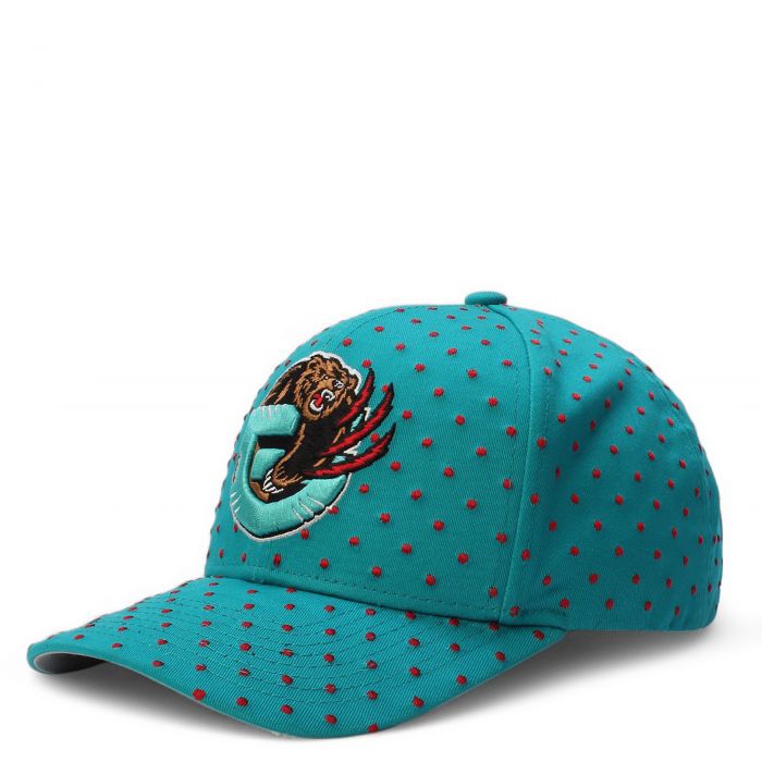 NBA Vancouver Grizzlies Polka Polka Pro Snapback  Teal