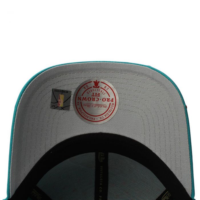 NBA Vancouver Grizzlies Polka Polka Pro Snapback  Teal