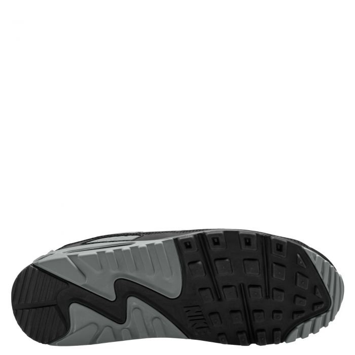 Air Max 90 Smoke Grey/Photon Dust-Black