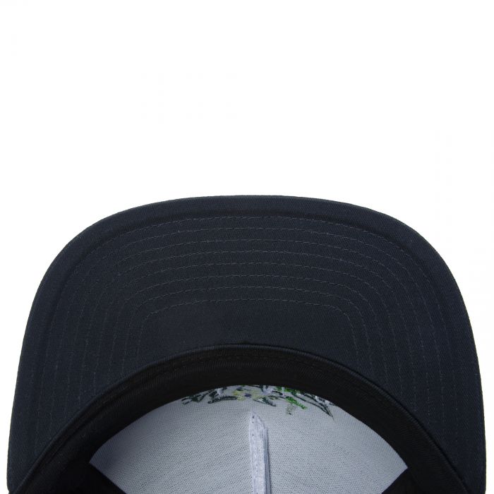 Greenhouse Snapback Hat Black