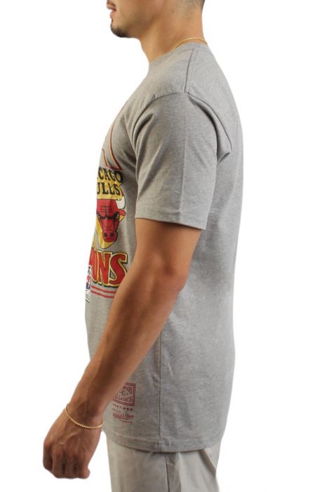 NBA Chicago Bulls Golden Champions T-Shirt  Grey Heather