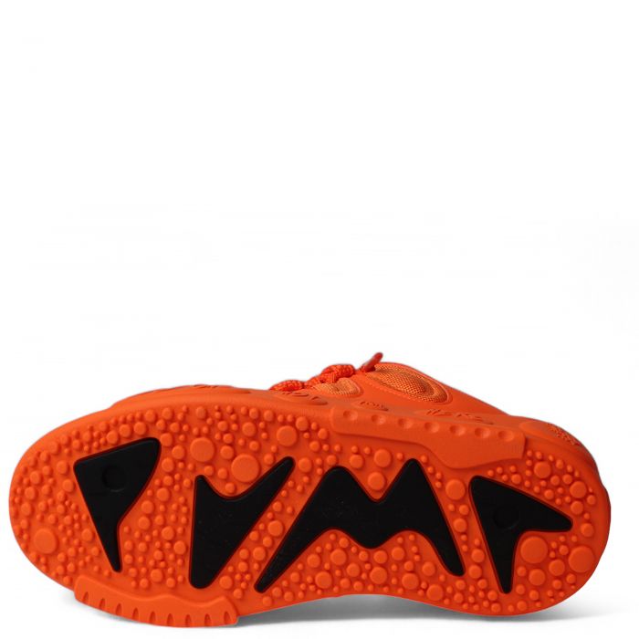 Grade School LA France Gifted Flame Flicker