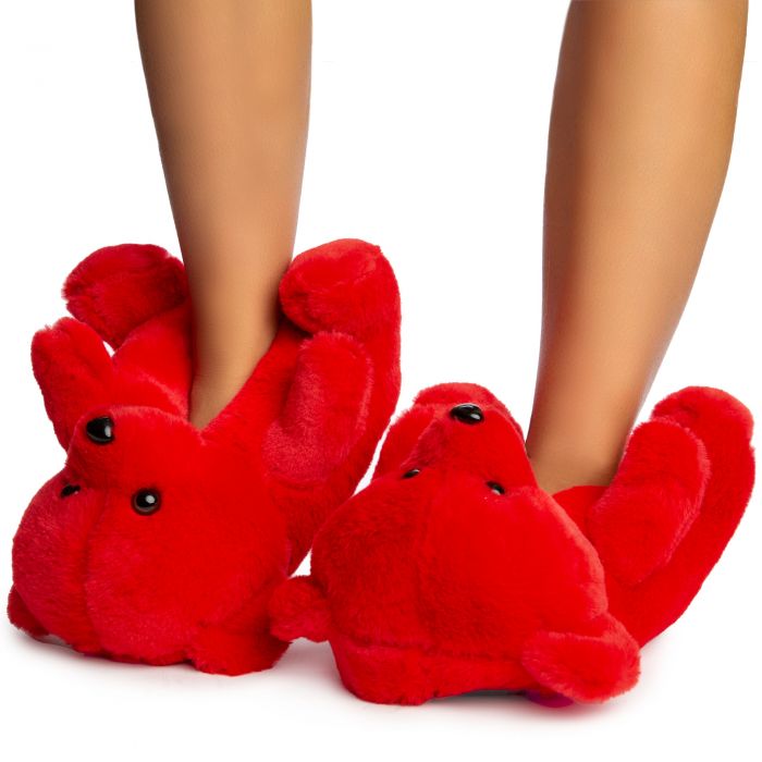 SHIEKH Plush-01 Bear Fuzzy Slippers PLUSH-01-SH-RED - Shiekh