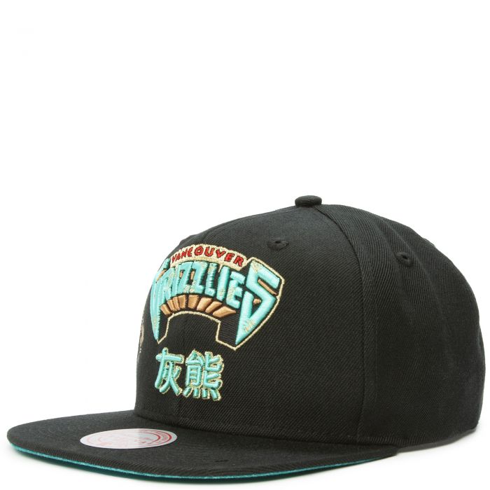 Vancouver Grizzlies NBA Fog Teal Snapback – The Sport Gallery