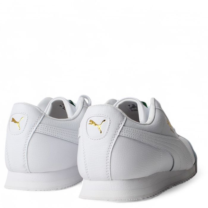 Roma 24 Standard White-Archive Green