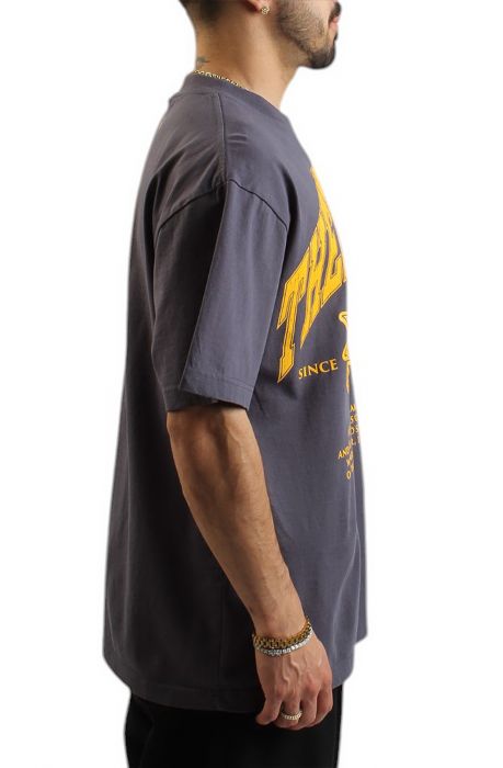 Alumnus T-Shirt grey