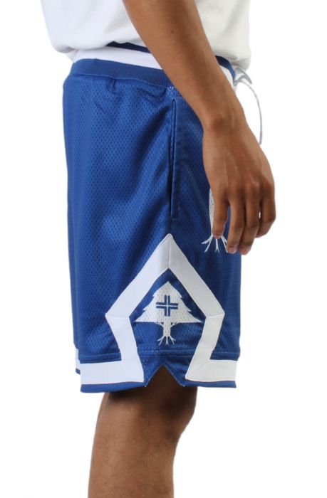 Strictly Roots Mesh Shorts Royal