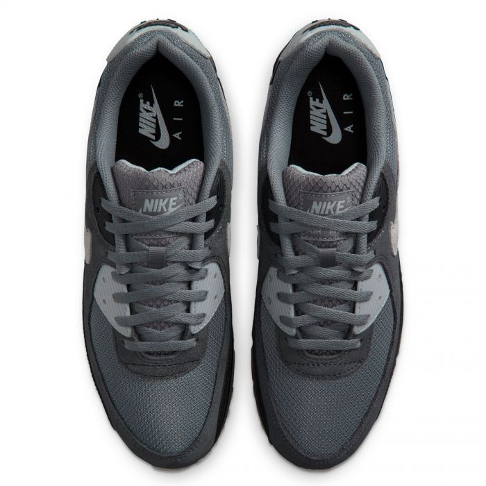 Air Max 90 Smoke Grey/Photon Dust-Black