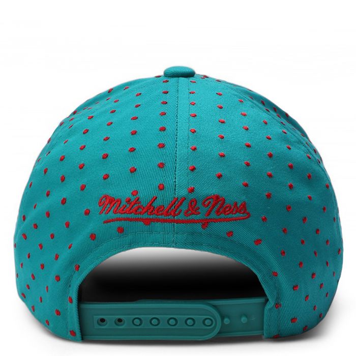 NBA Vancouver Grizzlies Polka Polka Pro Snapback  Teal