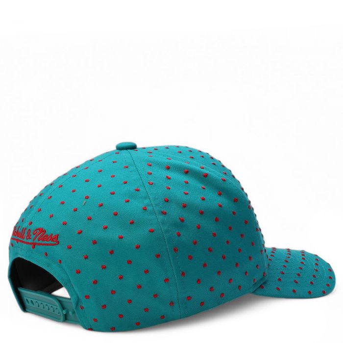 NBA Vancouver Grizzlies Polka Polka Pro Snapback  Teal